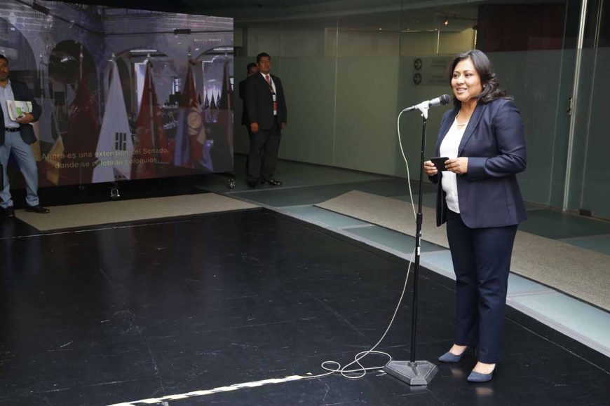 senadora electa,Puebla, Nadia Navarro Acevedo, acudió a registrarse, Senado, PAN