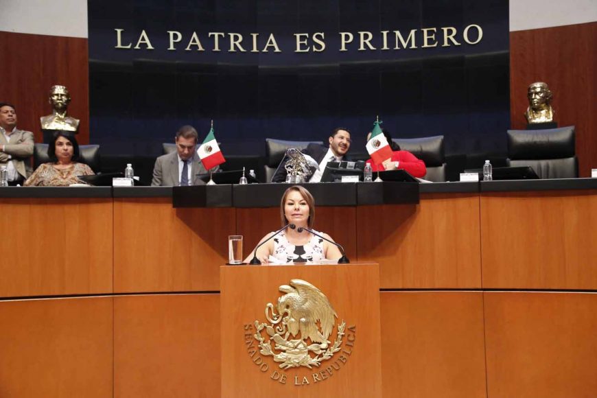 Senadora Minerva Hernández Ramos