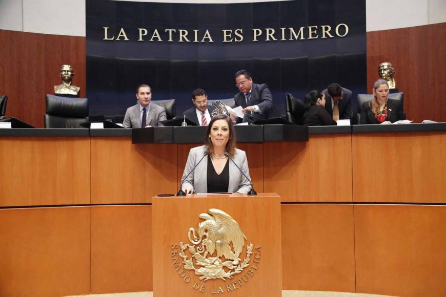 Senadora Gina Andrea Cruz al intervenir en tribuna