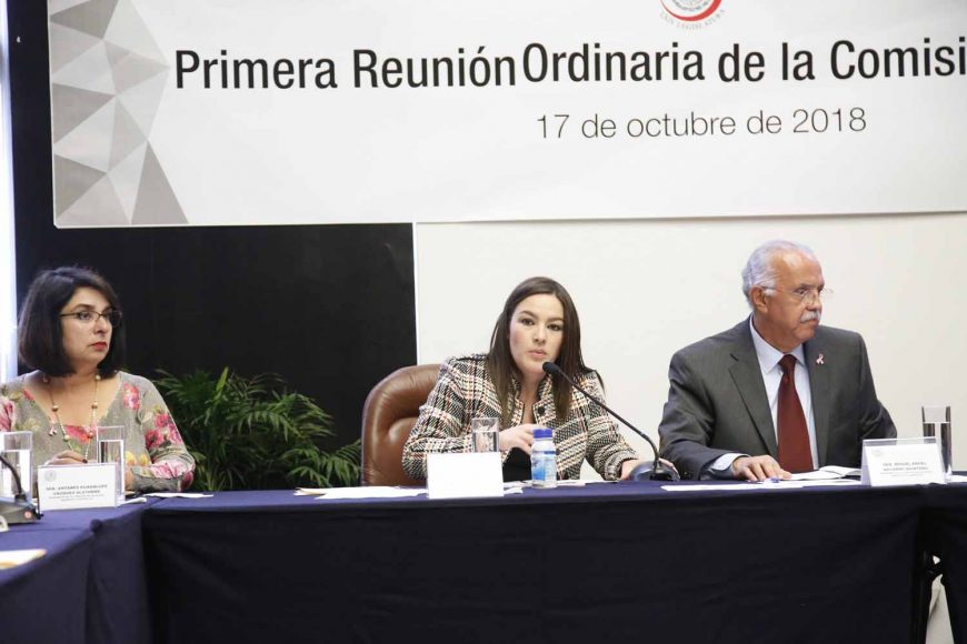 La senadora Martha Cecilia Márquez Alvarado, secretaria de la Comisión de Salud, durante la primera reunión ordinaria de dicha instancia legislativa.