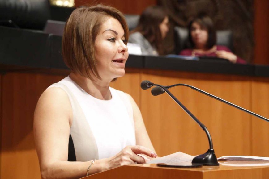 Enriquecer el proceso presupuestario mediante la participación pública, propone Minerva Hernández Ramos