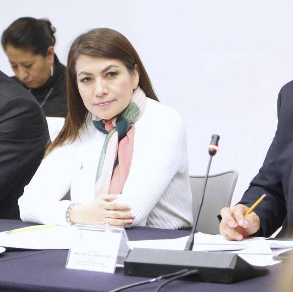 Participación de la senadora María Guadalupe Saldaña Cisneros, durante la reunión de trabajo de la Comisión de Desarrollo Urbano, Ordenamiento Territorial y Vivienda, en la que se aprobó desechar las iniciativas presentadas y turnadas a este órgano legislativo de la anterior legislatura.