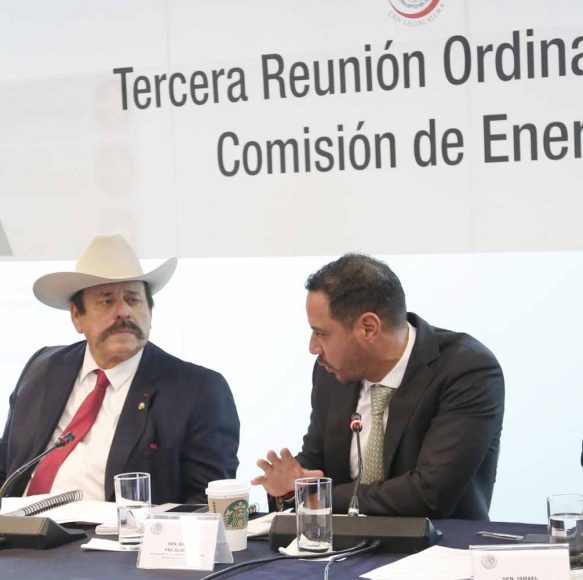 Senador Raúl Paz Alonzo, al participar en la reunión de trabajo de la Comisión de Energía