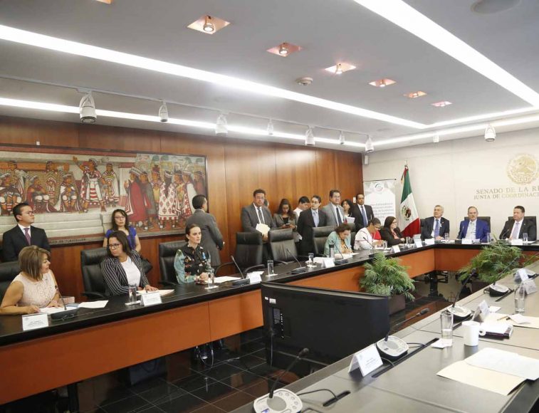 Senadora Minerva Hernández Ramos, al participar en la reunión de la Comisión de Economía.