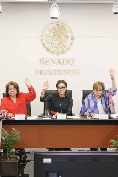 Intervención de la senadora Josefina Vázquez Mota durante la instalación de la Subcomisión de Estancias Infantiles.