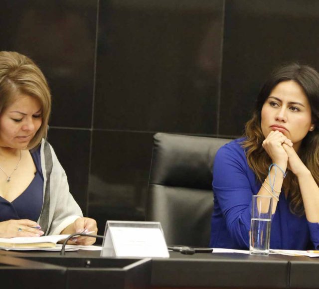 Senadora Indira Rosales San Román durante la reunión de trabajo de las comisiones unidas de Puntos Constitucionales, Educación y Estudios Legislativos.