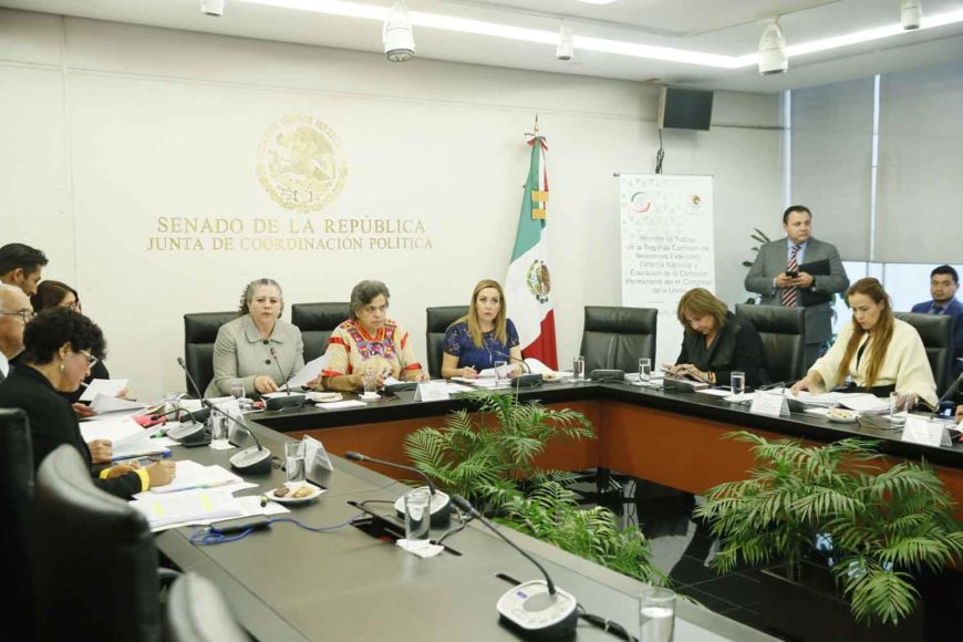 Senadora Alejandra Noemí Reynoso durante la reunión de la Segunda Comisión