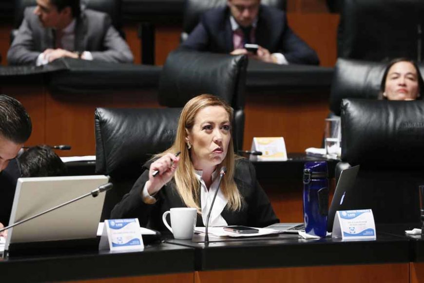Senadora Alejandra Noemí Reynoso al intervenir desde su escaño.