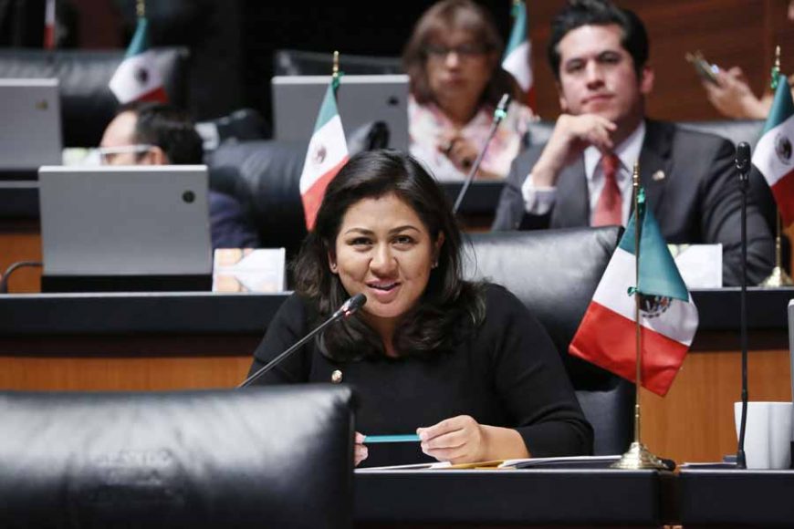 Senadora Nadia Navarro Acevedo al intervenir desde su escaño