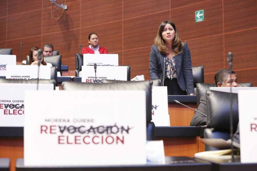 Intervención de la senadora Indira Rosales San Román al participar desde su curul
