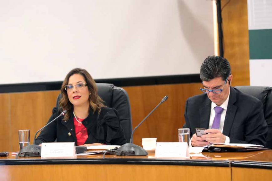 Senadora Gina Andrea Cruz Blackledge, al participar en la XXIII Reunión Interparlamentaria México-Canadá