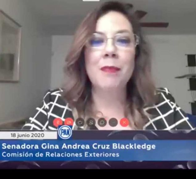 Senadora Gina Cruz Blackledge, durante la reunión con el Embajador Juan Ramón de la Fuente