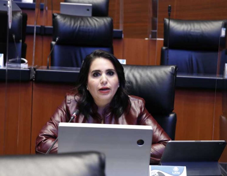 Intervención desde su escaño de la senadora Mayuli Latifa Martínez Simón