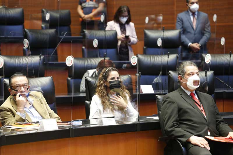 Senadora Estrella Rojas Loreto, durante el primer parlamento de Personas con Discapacidad.