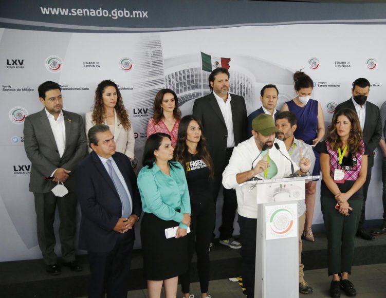 Participación de la senadora Mayuli Latifa Martínez Simón en conferencia de prensa con senadores de diversos partidos, así como representantes de la sociedad civil para referirse al Tren Maya.